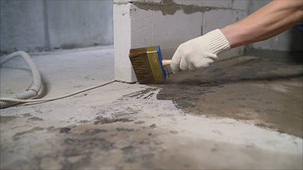24/7 Emergency Crawl Space Encapsulation experts in Delevan, NY
